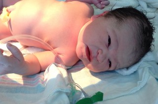 新生婴儿健康须知  ( 出生至三个月 )