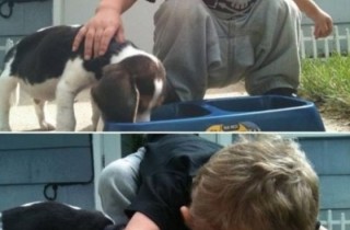 看完这些图片，你还打算要孩子吗？